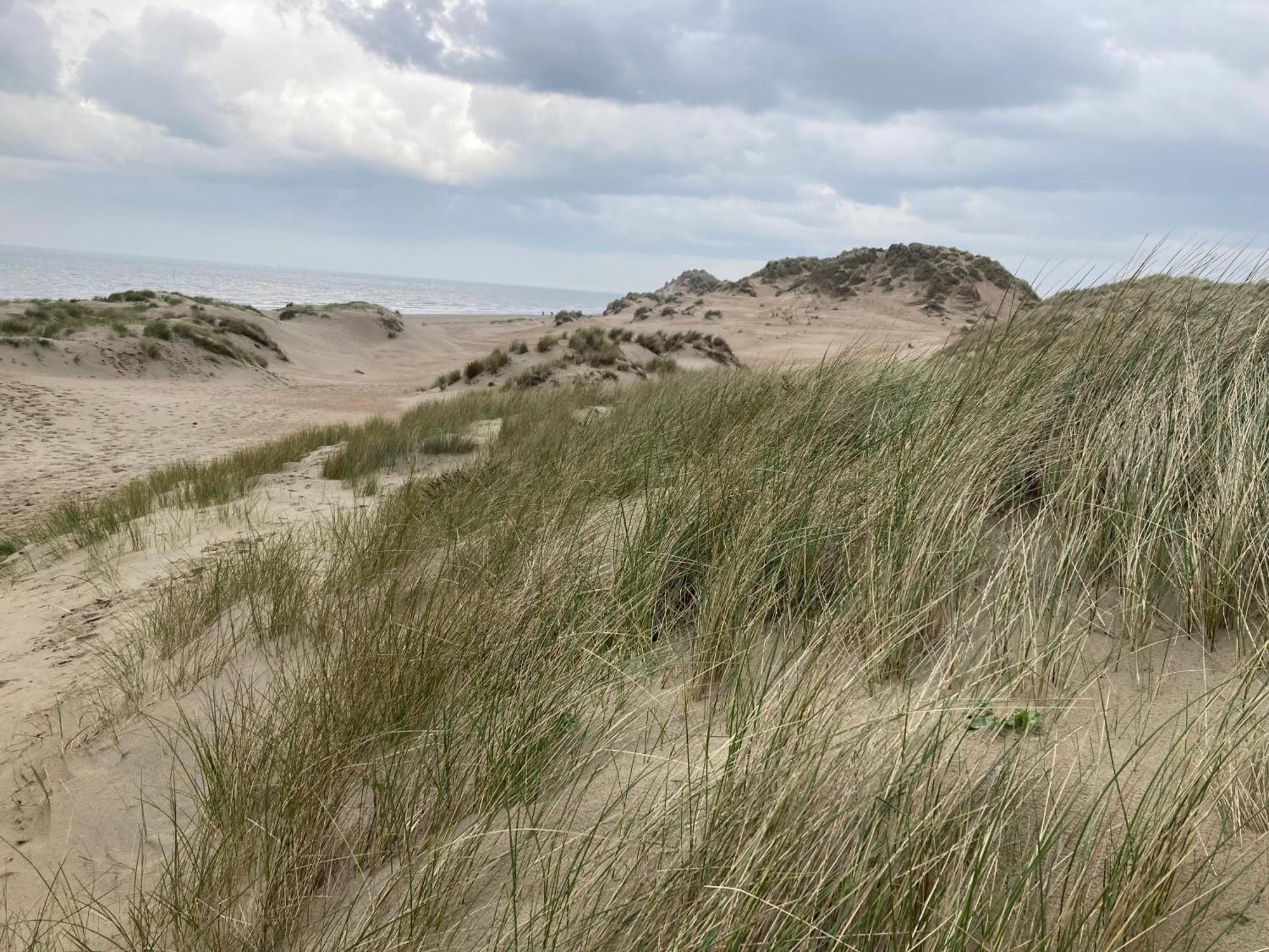 Terduinen Villa Остдюнкерк Екстериор снимка
